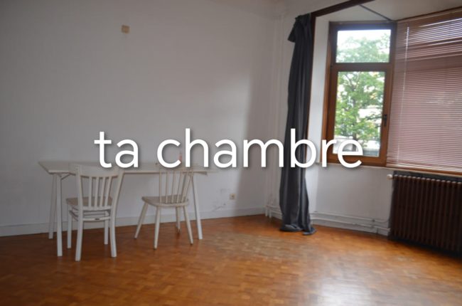 Nouvelle super maison chercher super coloc !