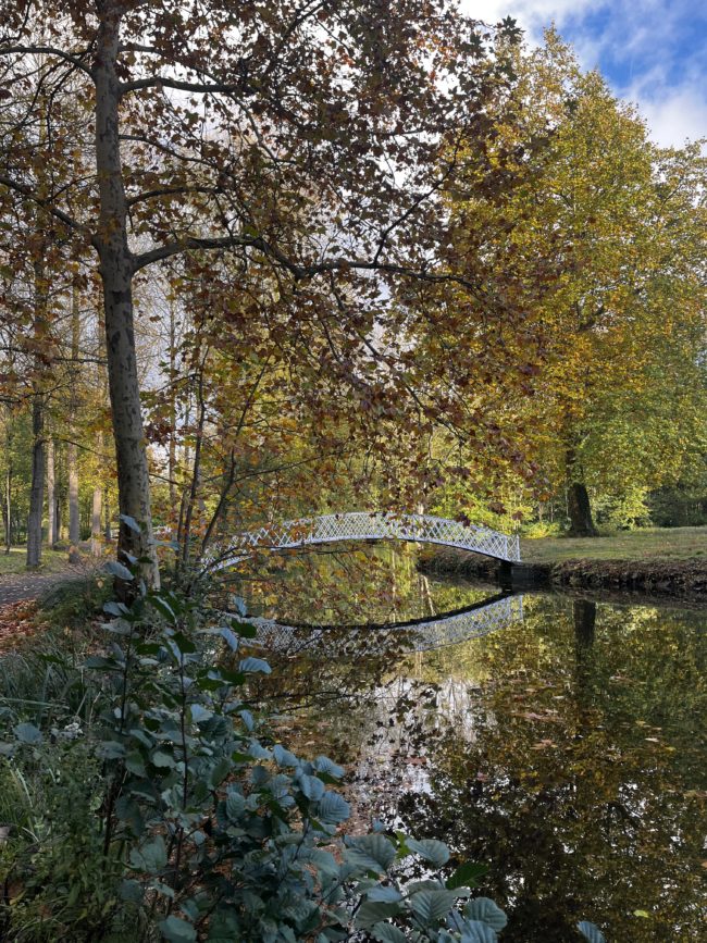 Une chambre se libère en Octobre à Drogenbos/Bruxelles !