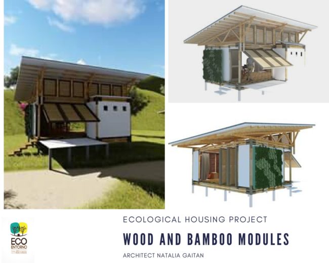 🌿 Architecture bioclimatique, construction naturelle et collaboration