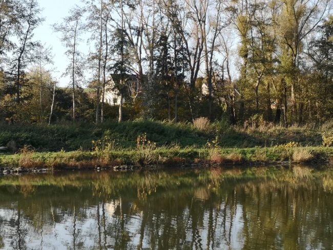 🌿 Colocation cosy à Oisquercq en Brabant wallon – dernière chambre disponible 🌿