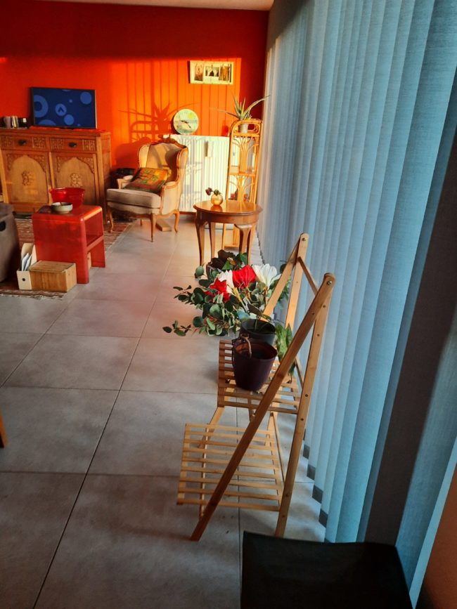 Recherche de colocataire dans un bel appartement lumineux