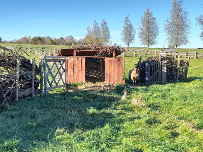 CONDROZ NAMUROIS – CORPS DE LOGIS – 3-4 CHAMBRES A VENDRE DANS BELLE GRANDE FERME