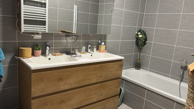 Recherche de colocataire dans un bel appartement lumineux