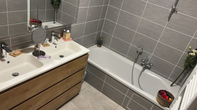 Recherche de colocataire dans un bel appartement lumineux