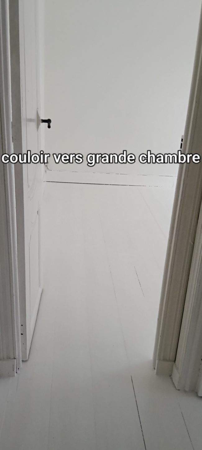 Recherche senior 50+ pour location appartement