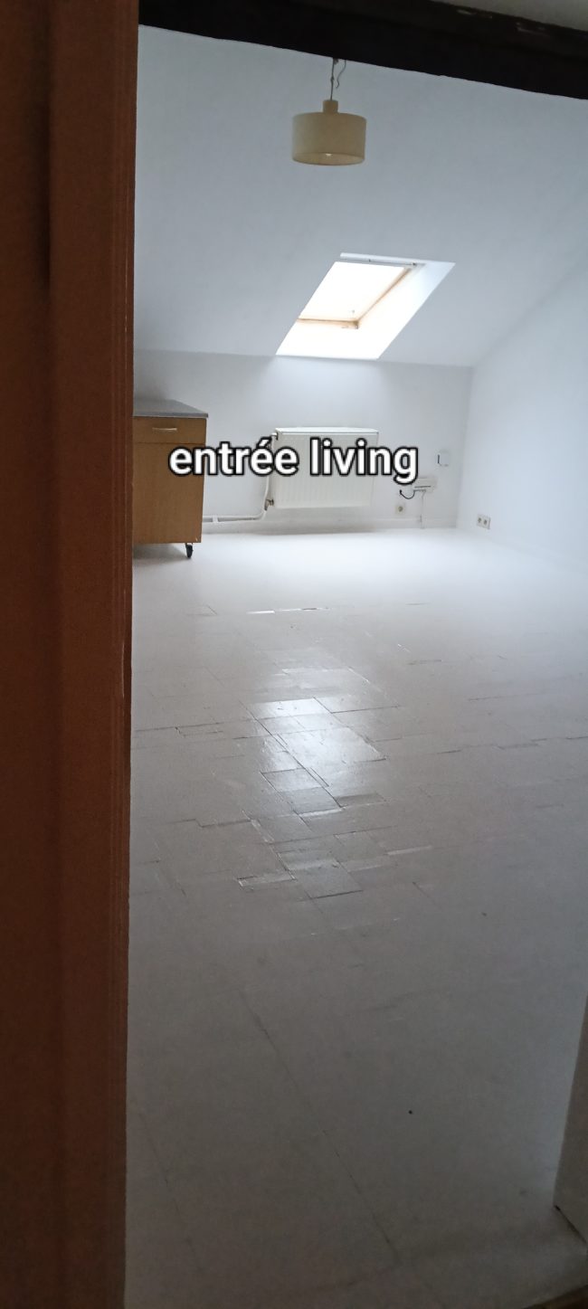Recherche senior 50+ pour location appartement