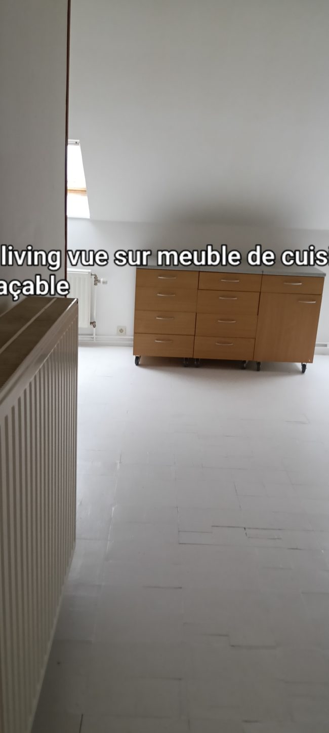 Recherche senior 50+ pour location appartement
