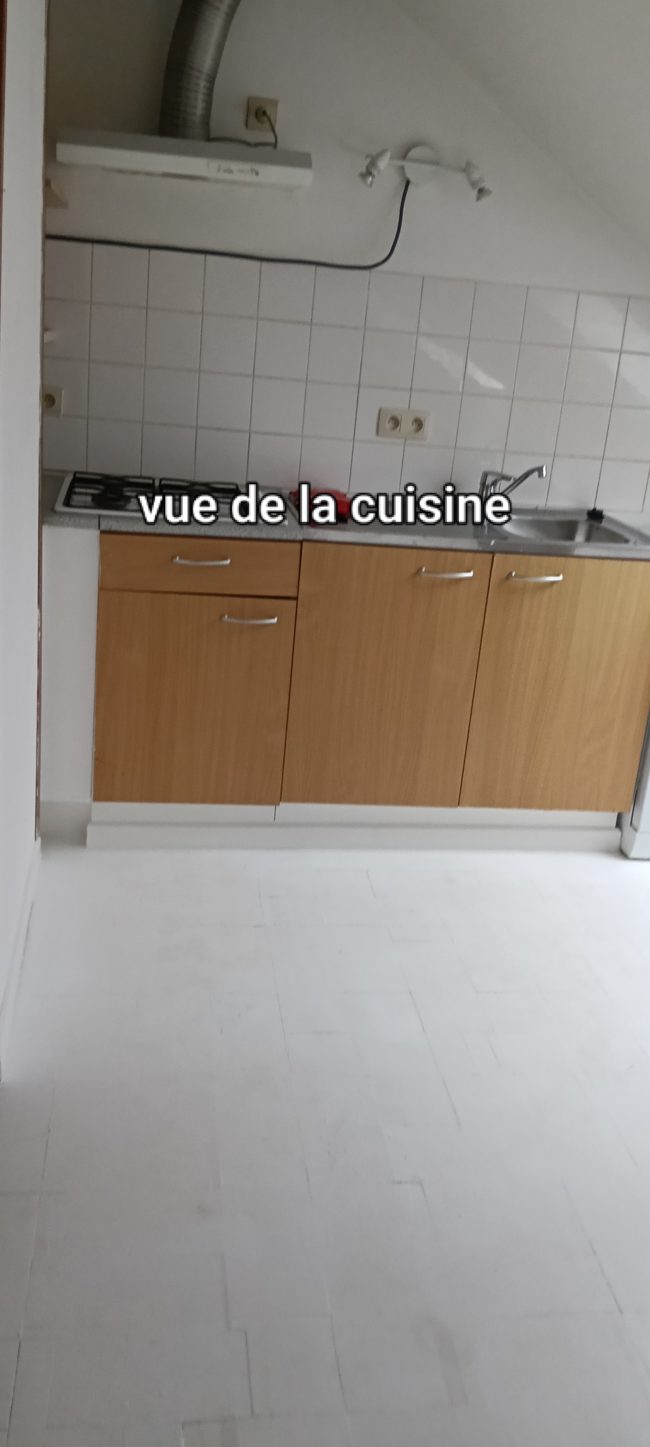 Recherche senior 50+ pour location appartement