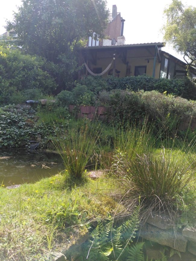 🌿 Chambre disponible dans habitat groupé 🌿