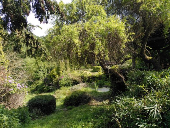 🌿 Chambre disponible dans habitat groupé 🌿