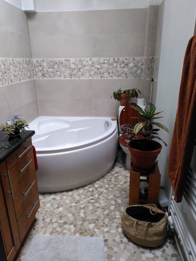 🌿 Chambre disponible dans habitat groupé 🌿