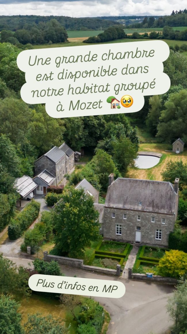 Une chambre est disponible dans notre habitat groupé à Mozet 🌳🍀