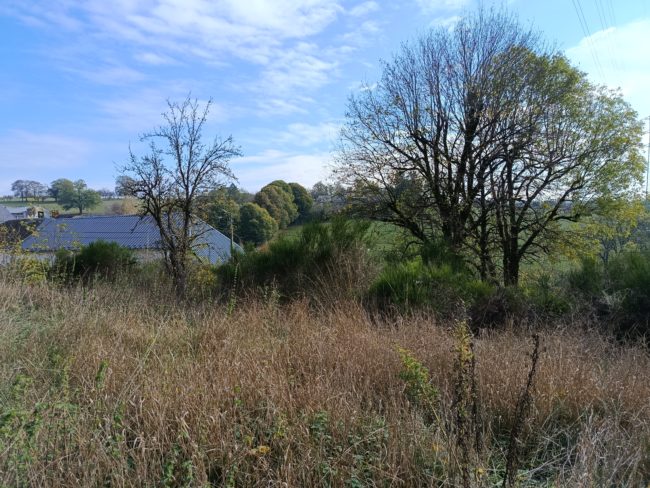 Terrain constructible à vendre 75000eur