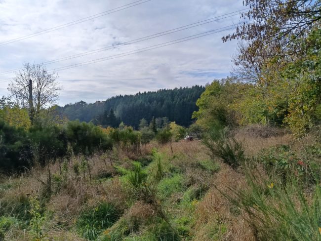 Terrain constructible à vendre 75000eur