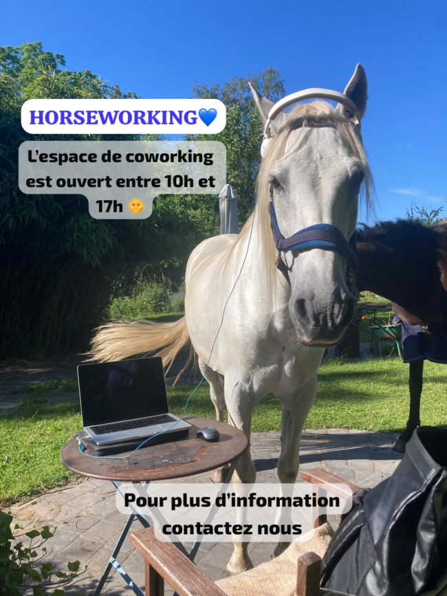 2 chambres dans une spacieuse coloc à Rebecq !