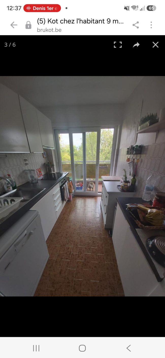 Chambre à louer chez l&rsquo;habitant sur Schaerbeek