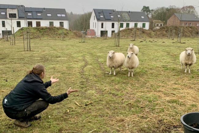 Une maison se libère au Temps d&rsquo;M à Villers-la-Ville